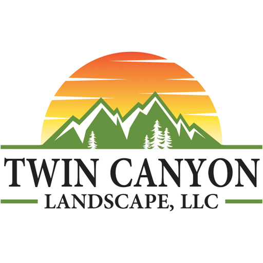 Twin Canyon Landscape